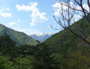 山の風景